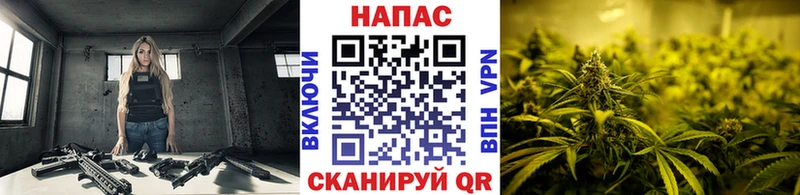 Канабис планчик  Заречный 